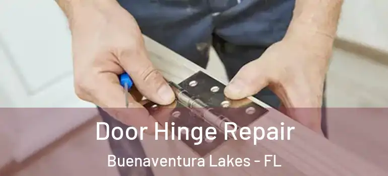 Door Hinge Repair Buenaventura Lakes - FL