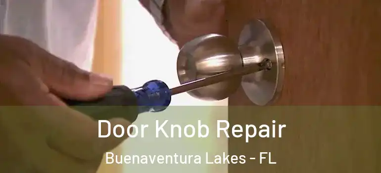 Door Knob Repair Buenaventura Lakes - FL