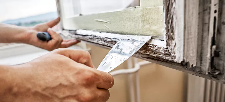 Exterior Window Frame Repair in Buenaventura Lakes, FL