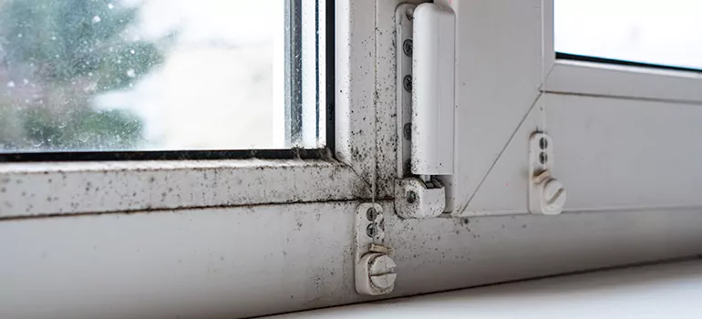 Buenaventura Lakes, FL