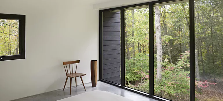 Triple Pane Energy Efficient Windows in Buenaventura Lakes, FL