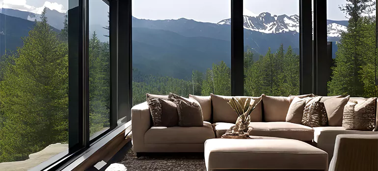 Picture Window Maintenance in Buenaventura Lakes, FL