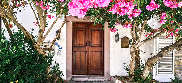 Traditional 4 Panel Internal Doors in Buenaventura Lakes, FL