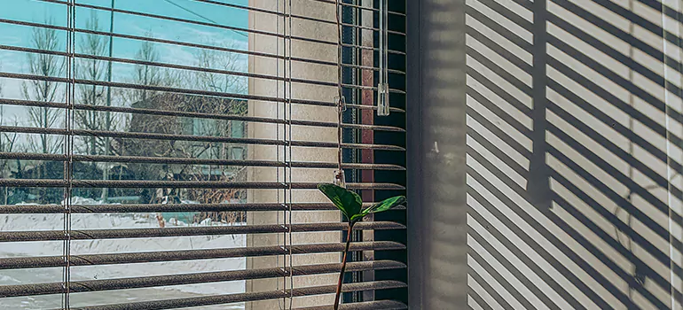 Commercial Window Blinds in Buenaventura Lakes, FL