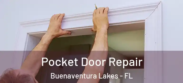 Pocket Door Repair Buenaventura Lakes - FL