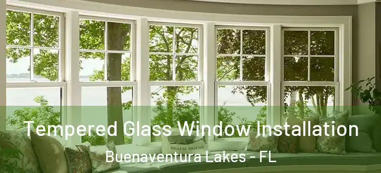 Tempered Glass Window Installation Buenaventura Lakes - FL
