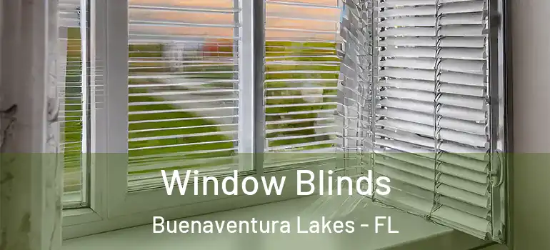 Window Blinds Buenaventura Lakes - FL