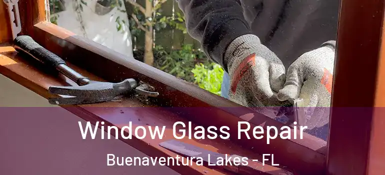 Window Glass Repair Buenaventura Lakes - FL