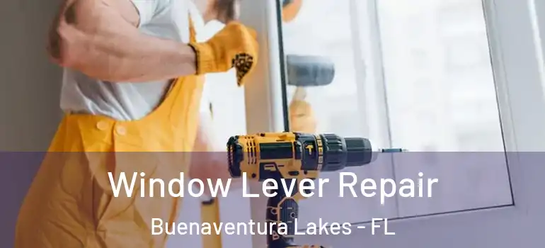  Window Lever Repair Buenaventura Lakes - FL