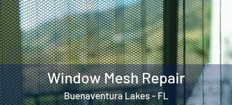 Window Mesh Repair Buenaventura Lakes - FL