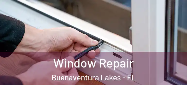 Window Repair Buenaventura Lakes - FL